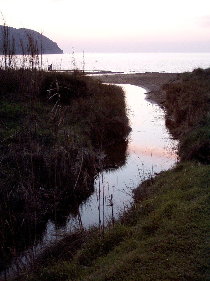 I fossi e lo stagno di Baratti (Piombino - LI)